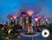 Місто Сторінка Сінгапур-готель
